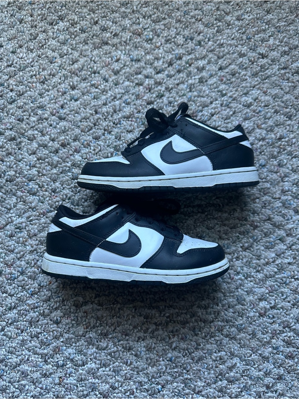 Kids Low Top Nike Dunks